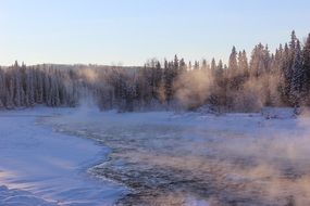 landscape of beautiful and delightful winter forest