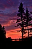 orange sunset outlines of pine trees