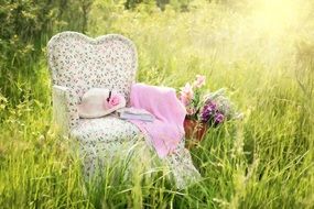 armchair in grass sunny field