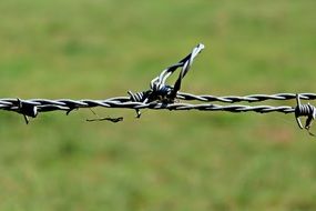 Close-up of barbed wire