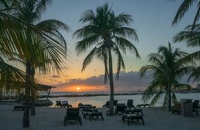 sunset caribbean palm trees beach