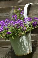 Flower pot with purple flowers