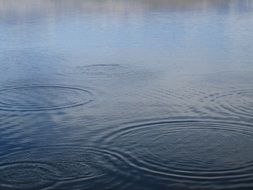 Raindrops fall to the lake