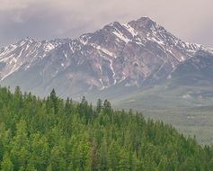 beautiful view of the mountains and the forest