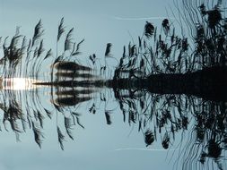 reed water mirroring