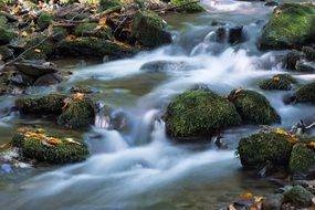 mountain stream in bad&iacute;nsky forest