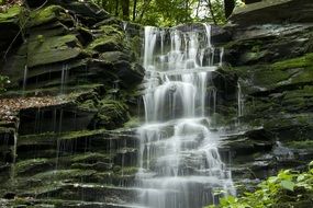 a small waterfall in the forest in beautiful nature