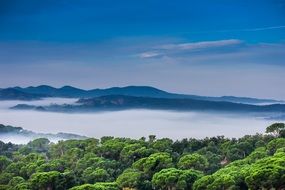 mountains and woods with clouds landscape