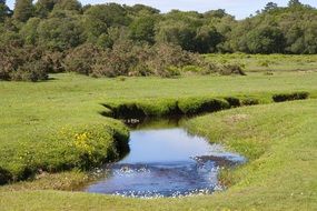 calm creek in the countryside in England