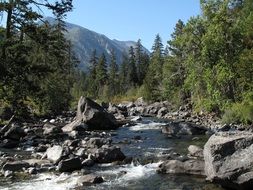 creek with stones at the foot of the mountain