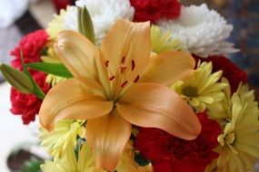 Colorful bouquet with lilies and carnations