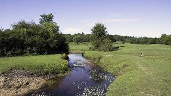 countryside stream
