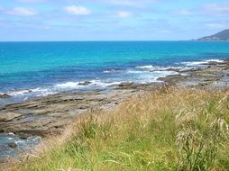 landscape of wide ocean shore