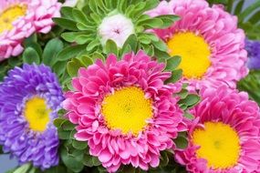 bouquet of colorful asters