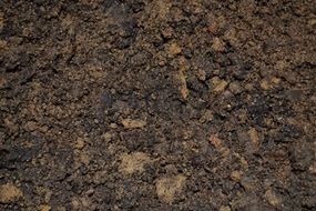 wet soil background