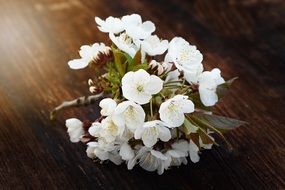 a bouquet of apple flowers