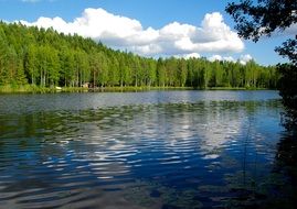 Lake among the forest in Finland