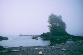 landscape of cove on a beach