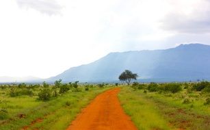 Picture of the dirt road in a picturesque landscape