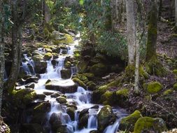 mountain stream in north carolina