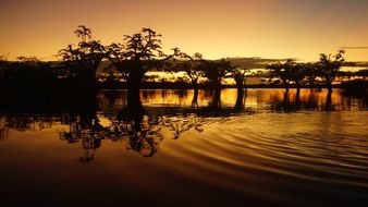landscape of the forest and lake at the sunset