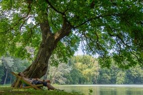 rest under a tree by the lake