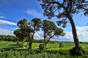 delighting italy tuscany nature