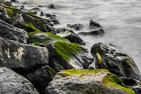 View of the rocks with green moss near water