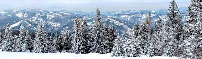 winter landscape with forest and snowy mountains