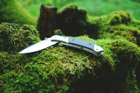 penknife on a green moss