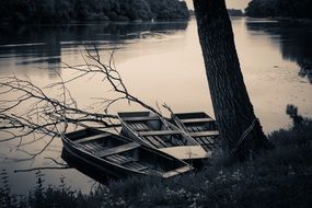 three boats near lake shore