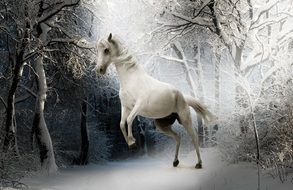 white horse in winter forest, digital art