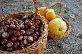 autumn harvest in different baskets