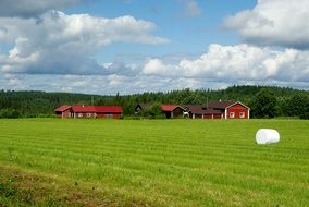 field and farm at forest, finland