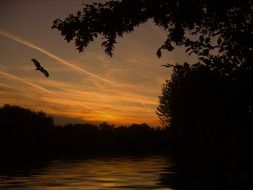 Landscape photo of the lake at the sunset