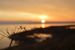 orange sunset autumn sky sea