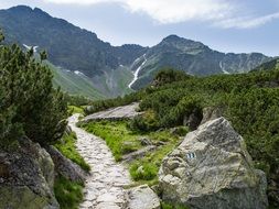 stone path in the mountains