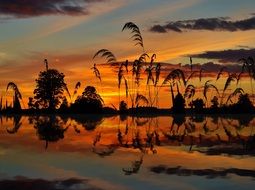 yellow mirroring lake water scene