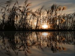 mirroring water at the sunset