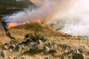 grass fire firefighter smoke