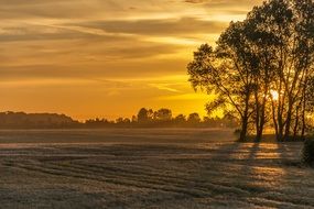 sunrise field morning sky