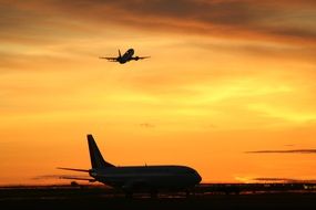take-off of a plane against a golden sky