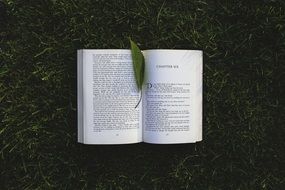 green bookmark