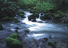 Mountain stream among picturesque landscape