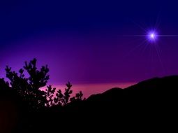 dark silhouettes of nature against a blue pink night sky