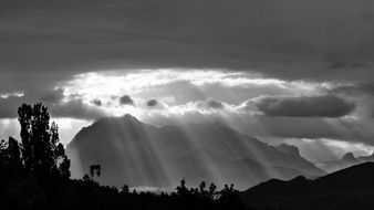 sun rays landscapes black and white photo