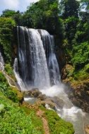 waterfall amidst a forest in honduras