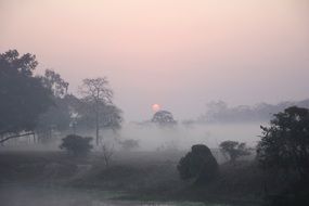 sunrise foggy countryside