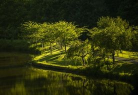 sunny park virginia landscape