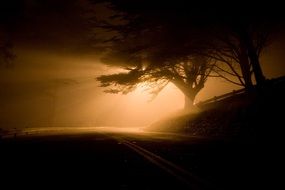 very beautiful landscape